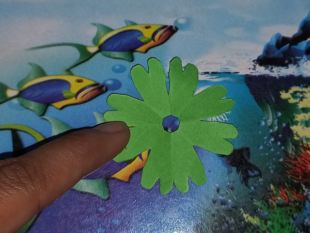 20250424_120711.jpg