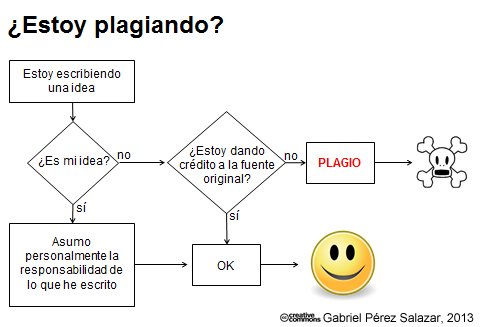 Estoy_plagiando_.jpg
