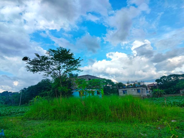 IMG20250616160516.jpg