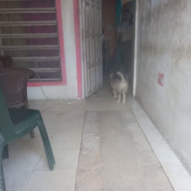 20250730_074443.jpg