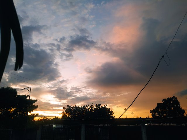 IMG_20251021_063016.jpg
