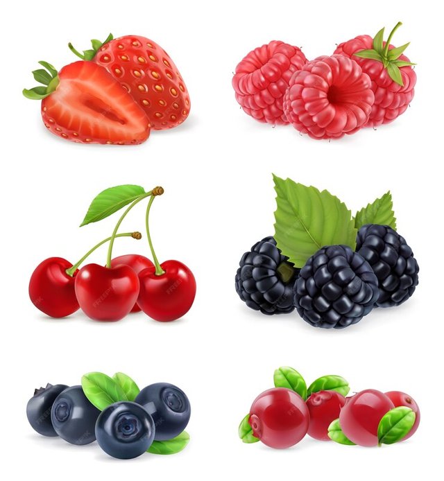 forest-berry-sweet-fruit-realistic-illustration_163454-696.jpg