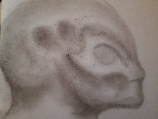 20250423_110331.jpg