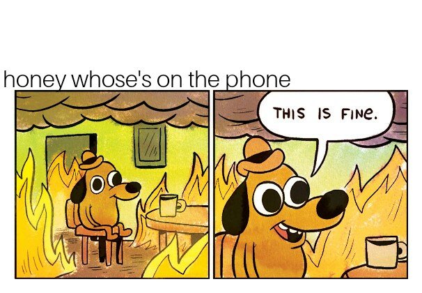 This is fine 18062018121941.jpg