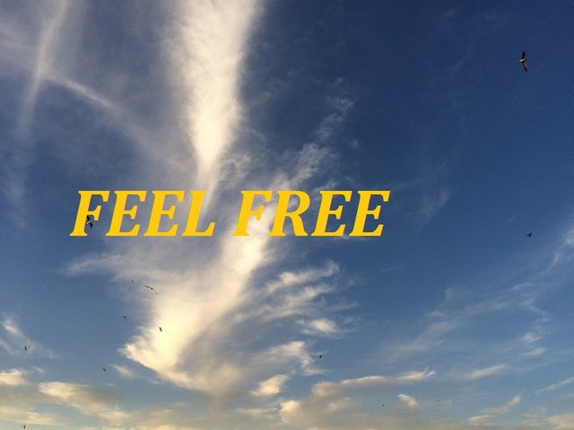 FEEL FREE.jpg