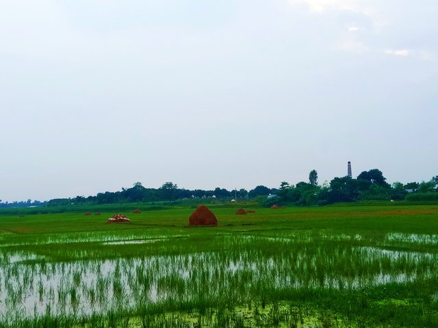IMG_20250622_192100.jpg