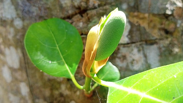 IMG20250604120752.jpg