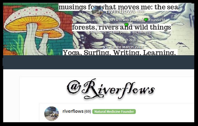Riverflows blog image modified.jpg