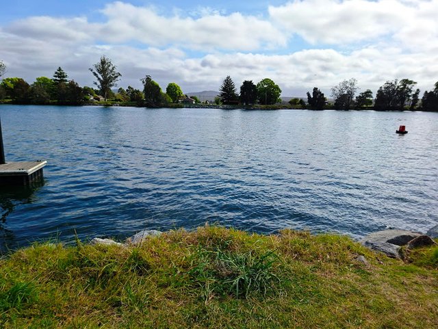 20251006_101121.jpg