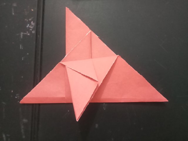 1000031557.jpg