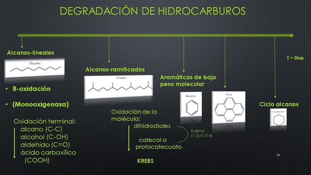 Diapositiva12.JPG