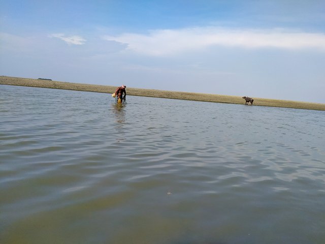 IMG_20210523_154741.jpg