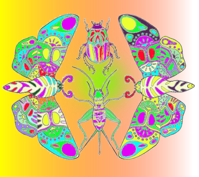 image44.png