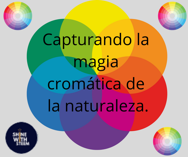 Capturando la magia cromática de la naturaleza..png