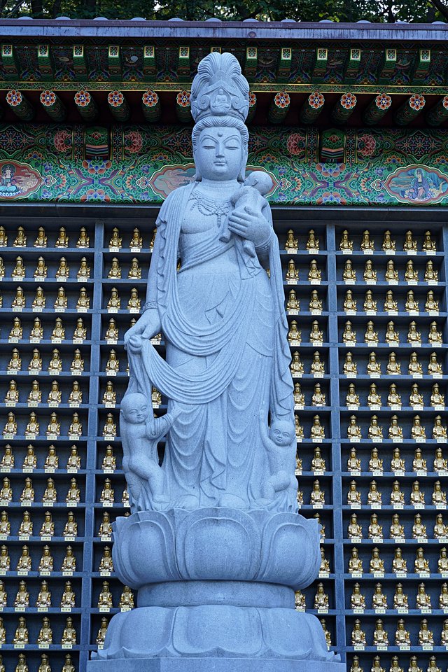 b-DSC08528.JPG
