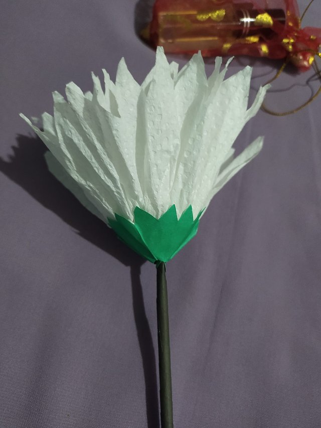 1000015314.jpg