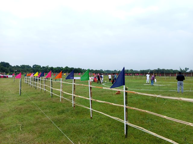1000031388.jpg