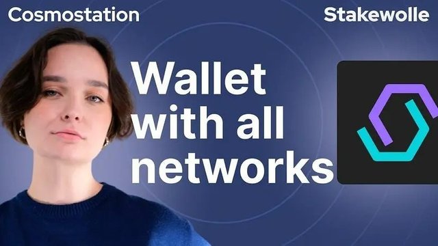 CosmoStationWallet Stakehole.jpg