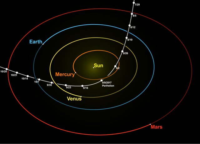 Oumuamua_orbit_at_perihelion.jpg