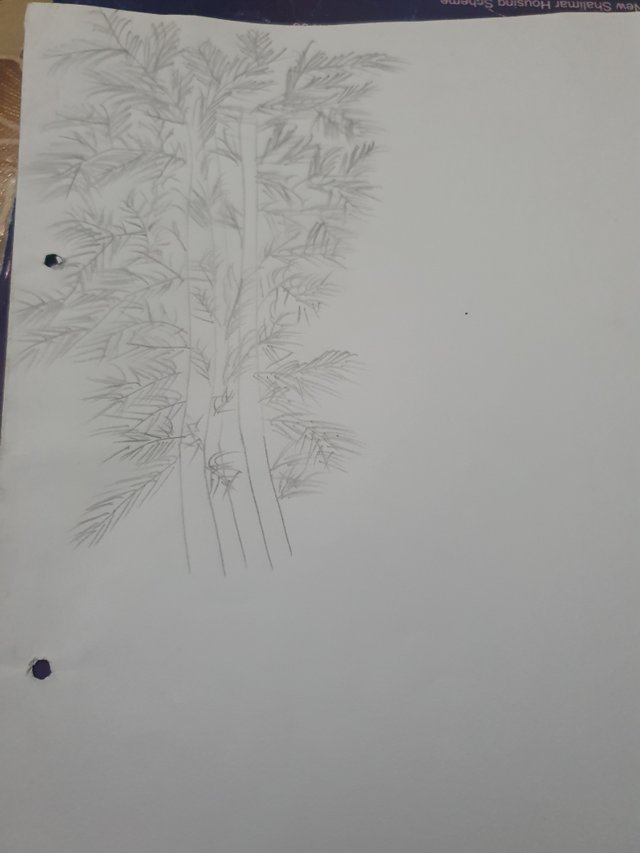 20250731_135037.jpg