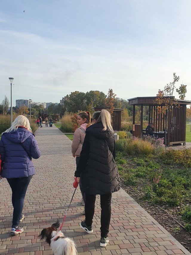 IMG-601601248cc05e49c3af9c96c6e46262-V.jpg