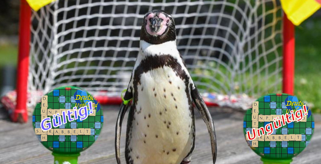 _pinguinVAR.png