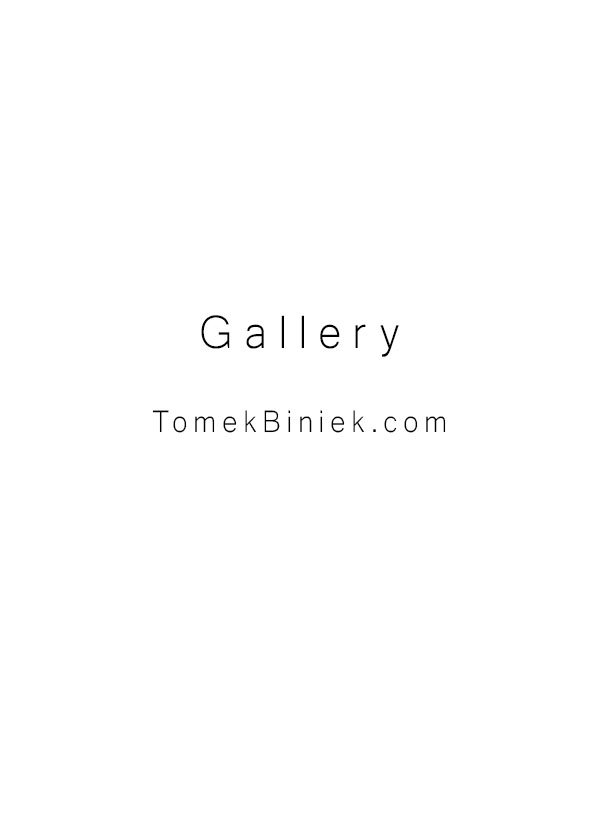 Tomek_Biniek_Silence_acrylic c.jpg