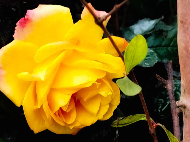 IMG20250103084656.jpg
