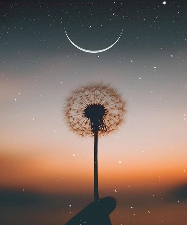 e45e701ec739a04b2a7a7c0dc4ef7e5b.jpg