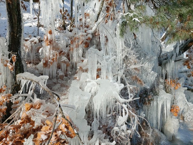 산정7.jpg