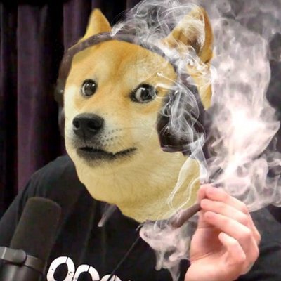 doge.jpg