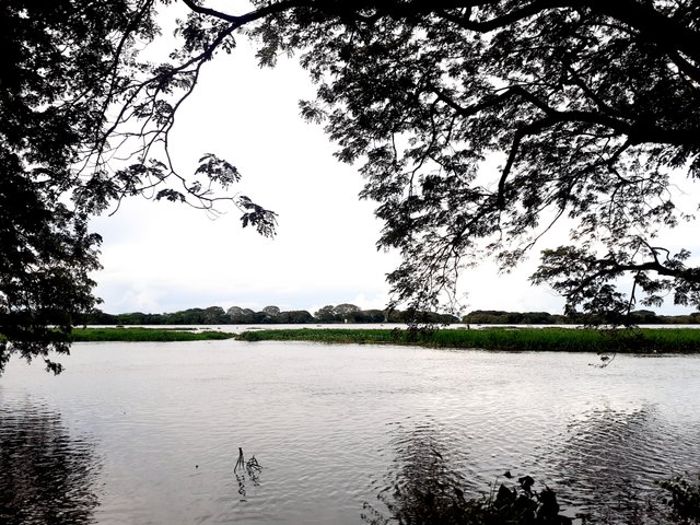 20250802_173328.jpg