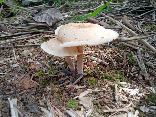 IMG20220713102355.jpg