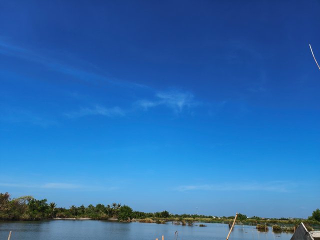 IMG_20250314_093158.jpg
