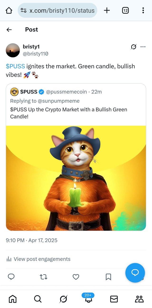 Screenshot_20250417-211055_Chrome.jpg