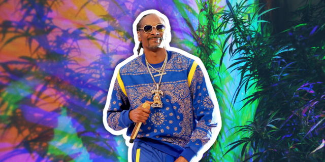 snoop-dogg-weed-nft-1-800x400.png