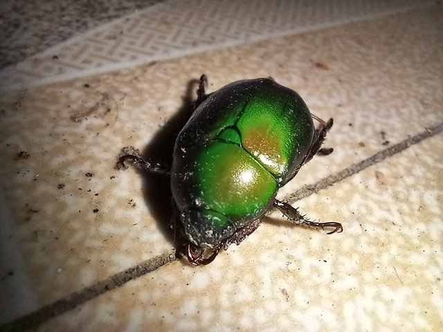 20230829_191144.jpg