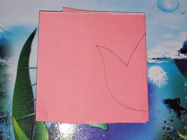 20250424_101705.jpg