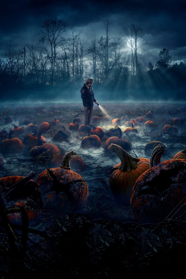 stranger-things_8c27_2000x3000.jpg