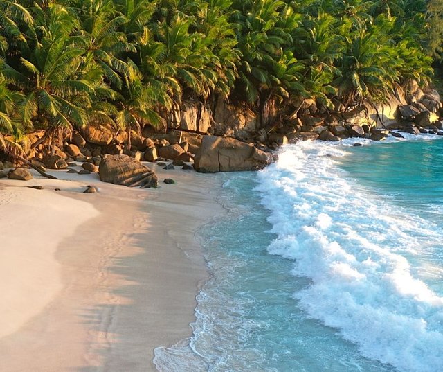 Seychelles1 🙏 Grazie Madre Terra.jpg