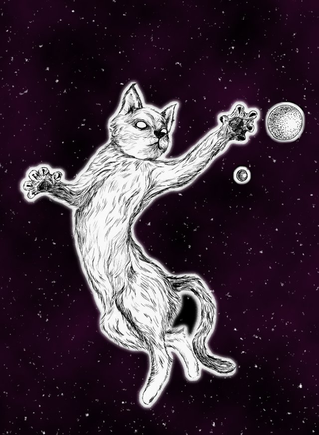 gato-cosmico.jpg