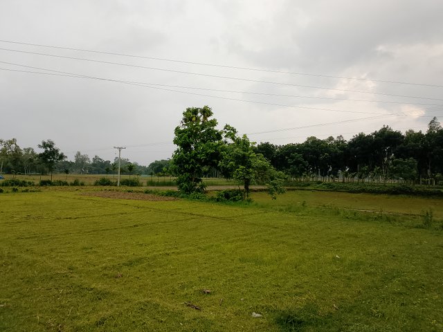 1000042699.jpg