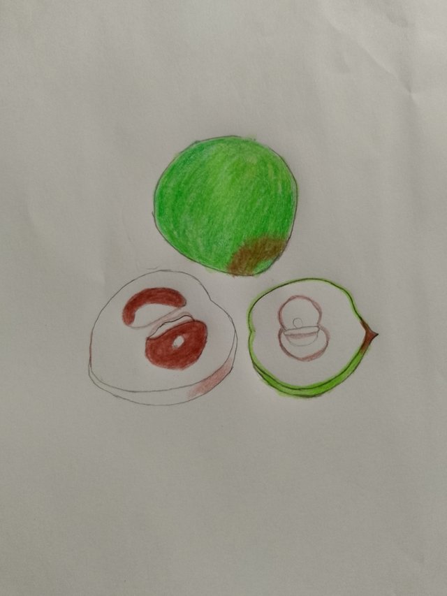 1000052011.jpg