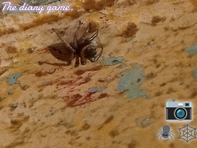 FotoGrid_20250824_185331677.jpg