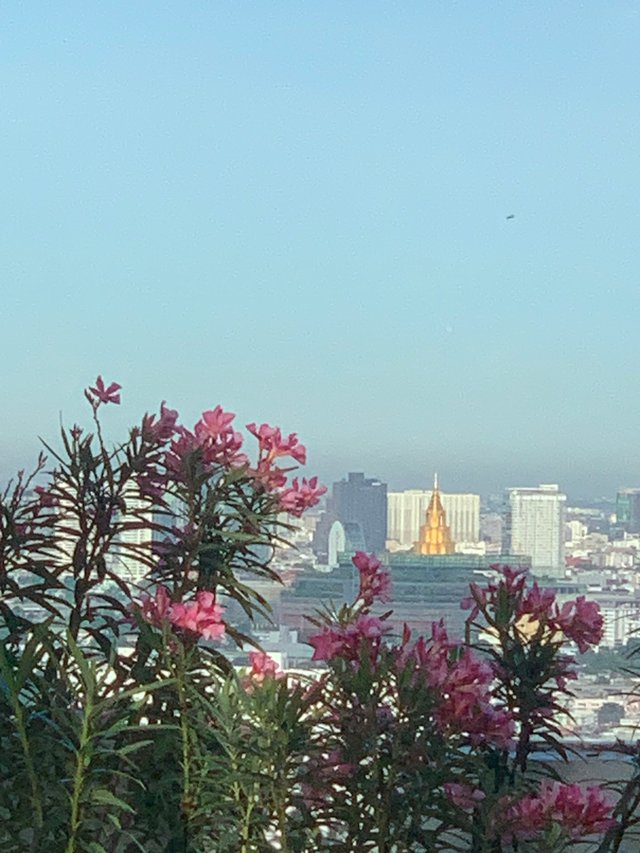 Bangkok14.jpg