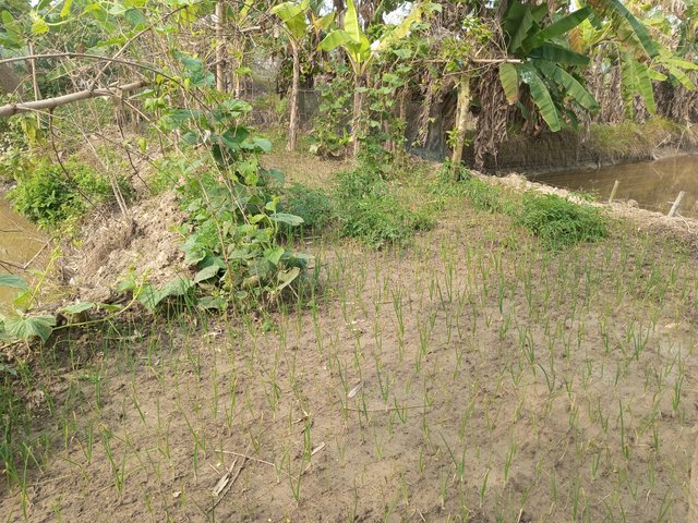 IMG_20240124_122331_169.jpg