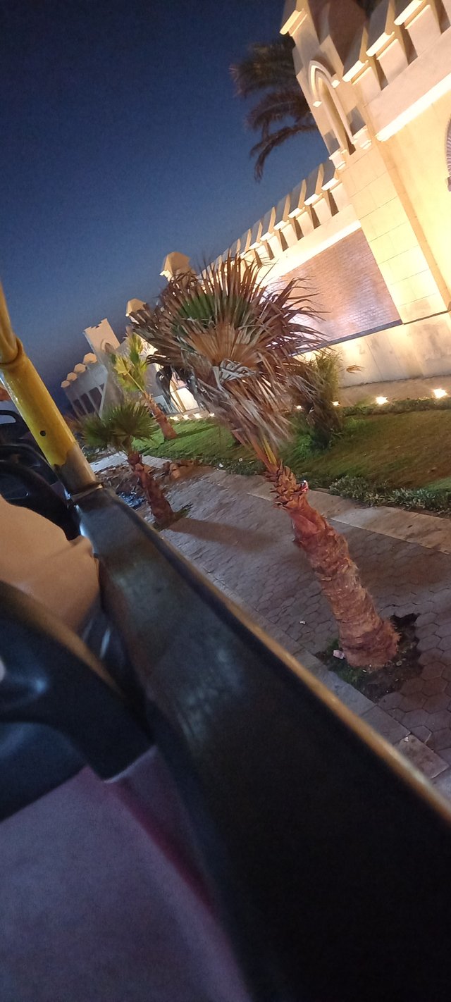 ٢٠٢٤٠٦١٢_٢٠٥٢٢٥.jpg