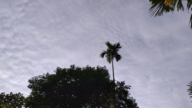20220918_175158.jpg