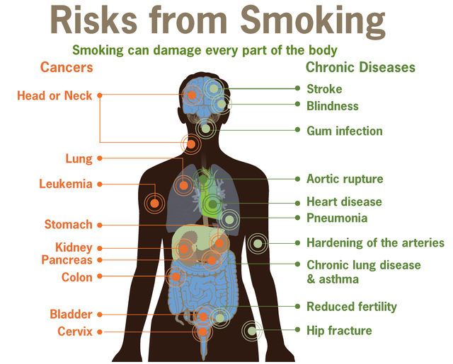 SERO-Smoking-Article-Image.png