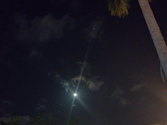 IMG_20211224_235036.jpg